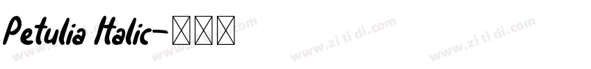 Petulia Italic字体转换